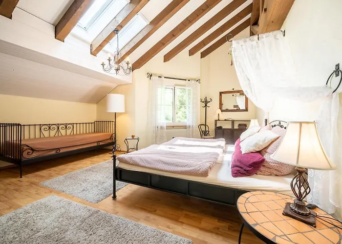 Lägenhet 5401 Grosszuegige Dachgeschoss-wohnung Mit Parkettboden Und Balkon - Moderne Und Helle Gestaltung