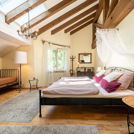 5401 Grosszuegige Dachgeschoss-wohnung Mit Parkettboden Und Balkon - Moderne Und Helle Gestaltung Apartment *